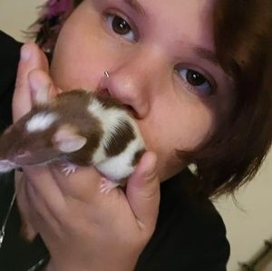 Meet your Posher, Angel